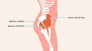 Damage to the hip area can vary from minor injuries that require little treatment, to more severe injuries that result in the muscles ceasing to connect with the bone. Hip Abduction Exercises Anatomy Benefits Effectiveness