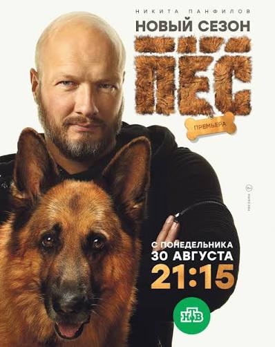 Пёс смотреть онлайн 1-6 сезон сериала бесплатно