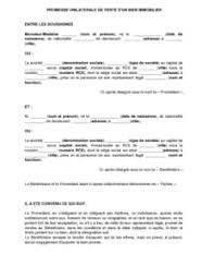 Compromis de vente ou promesse de vente : Modele De Promesse Unilaterale De Vente D Un Bien Immobilier Modele De Lettre Gratuit Exemple De Lettre Type Documentissime