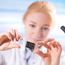 TOP 10 BEST Lamp Shades near Green Hills, Nashville, TN