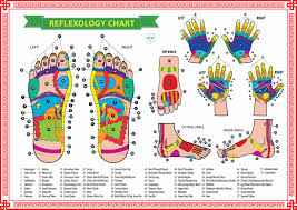 free reflexology charts points for specific ailments