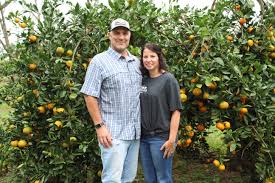 Maybe you would like to learn more about one of these? Satsumas And Love Grow In This Alabama Orchard Al Com