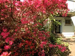 haus zum verkauf 79110 freiburg landwasser spechtweg 18 mapio net