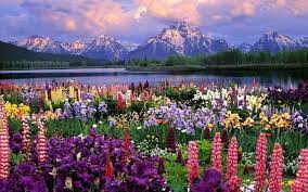 Spring Landscape Hd Wallpaper Spring Multi Colors Wallpaper