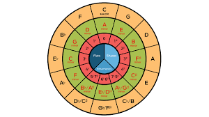 The circle of fifths is a chart organizing all of the keys into a system that we can use to relate them to one another. What Is The Circle Of Fifths And How Can It Help With Your Music Theory Musicradar