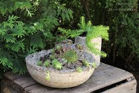 In terms of appearance, vermiculite is a softer, brownish substance and is a derivative of mica. How To Make Hypertufa Planters House Of Hawthornes