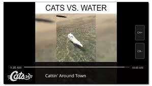 How to prevent from getting adware. Digital Friday Pluto Tv Gives You Free Indie Tv 24 7 Broke And Beautiful