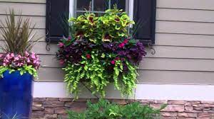 Hanging window boxes window box plants window box flowers balcony flowers window planter boxes hanging flowers hanging plants window box the prettiest window box in town 2015. Beautiful Window Boxes And Hanging Baskets 2011 1 5 Min Youtube