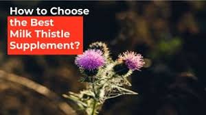 We did not find results for: How To Choose Best Milk Thistle Supplement Bestsource Nutrition