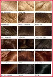 Inspirational Hair Color Chart Shades Gallery Of Hair Color Style Blondehairchartshades Differentshad Clairol Hair Color Chart Loreal Hair Color Hair Styles