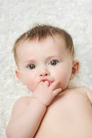 Fundraiser by Dawn Cheney Baker : Franklin and Friends