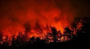 Hatay'da orman yangını 16.07.2021 turkey Izmir De Orman Yangini Suruyor Iki Mahalleye Yaklasti