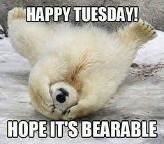 Start your work week in the best way: 47 Tuesday Ideas In 2021 Tuesday Quotes Tuesday Good Morning Tuesday