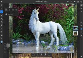 Check spelling or type a new query. Adobe Details Feature Roadmap For Photoshop On The Ipad Subject Selection Coming In 2019 Techcrunch