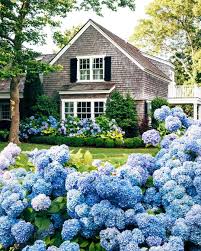 House And Garden Edgartown Massachusetts By Jackie Jackiegreaney On Instagram In 2020 New England Cottage Backyard Landscaping Hampton Garden