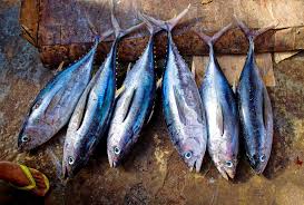 Aku sering masak ikan tongkol tapi yang kering, jarang kalau yang basah. Aneka Olahan Ikan Tongkol Yang Lezat Dan Bernilai Jual Tinggi