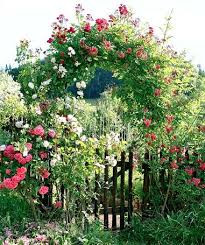Mein Schones Land Mein Schoner Garten Garten Garteneingang Und Garten Pflanzen