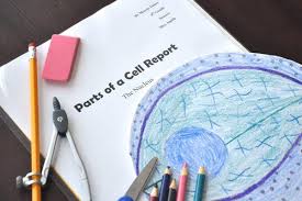 Check spelling or type a new query. Pflanzliche Und Tierische Zellaktivitaten Fur Die Vierte Klasse Wissenschaft 2021