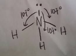 Wajib dari sudut ini boleh dibahagikan kepada dua, seperti yang ditunjukkan dalam jadual 3.1, iaitu Bentuk Molekul Senyawa Teori Domain Elektron Vsepr Your Chemistry A