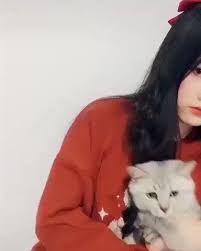 最多情報局 on twitter funny animal videos funny animals funny cats
