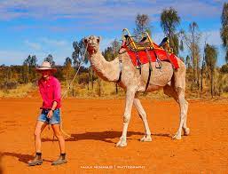 Book ahead of time to guarantee a spot on the balloon, which flies high above the rugged landscape for epic not a bad value. Uluru Camel Tours Australia