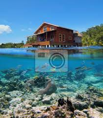 Kann mir nicht erklären wie es da reingekommen ist, ausser der laden stand bis zur decke unter wasser. Uber Und Unter Meeresoberflache Tropisches Stelzenhaus Uber Wasser Fototapete Fototapeten Wasserlinie Karibischen Meer Panama Myloview De