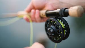 The back is typically covered with dark circular markings. Saturday Is Free Fishing Day In Texas