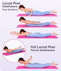 Pin On Yoga Beginners Poses