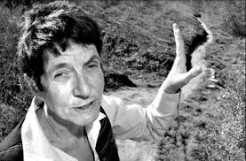 Photo: Friends of Rose Canyon president Debbie Knight