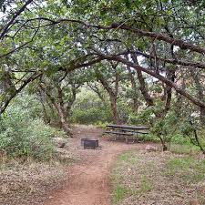 The state parks (john kyle at sardis) and (hugh white) at grenada are built next to the water of the lakes. Oak Grove Campground Grand Canyon Trust