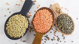 More images for jenis kacang berprotein tinggi » Kaya Gizi Dan Rendah Kalori Inilah 7 Jenis Kacang Paling Sehat Di Dunia Ada Banyak Di Indonesia Halaman All Tribun Batam