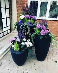 Pin On Flowers