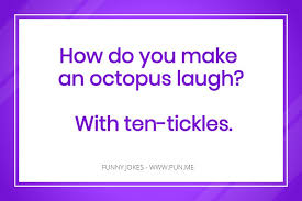 If you didn't laugh, maybe you can find hilarity in the fact that i love jokes so much that i took the time to write create this list. Acm6umrf4pvuom