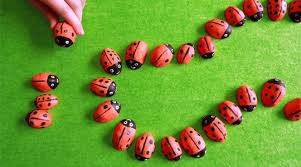 Les Dominos Coccinelles Coccinelle Jeux Faits Maison Bricolage