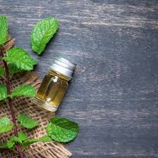 Mon Anti Mites Aux Huiles Essentielles Beaute Cherie Huile Essentielle Menthe Poivree Huiles Essentielles Huile Essentielle De Menthe
