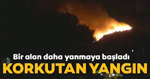 İzmir'de orman yangını., üsküdar'da 4 katlı hastanede yangın paniği. Son Dakika Mugla Da Kontrol Altina Alinan Yangin Bir Daha Alevlendi Son Dakika Haberler