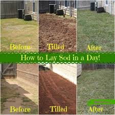 Pinkwhen How To Lay Sod Sod Installation Diy Lawn