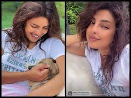 Kaylee isn't the only person in the mckeown family who feels at home in the water. Miss World News Latest News On Miss World Times Of India