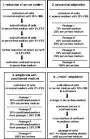 The mammalian cells of an organ in the body receive nutrients from blood circulation. Optimization Of Chemically Defined Cell Culture Media Replacing Fetal Bovine Serum In Mammalian In Vitro Methods Sciencedirect