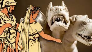 Image result for Atractus cerberus