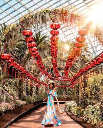 Happy Chinese New Year Tom Shu I Just Made It Back To The Seattle After A Month Of Traveling Althou Travel Style Chinese New Year Singapore Photos