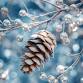 Craft Your Own Pom-Pom Pinecone Ornaments event image