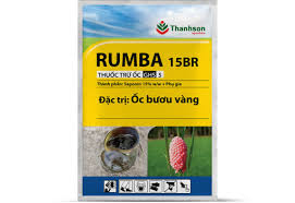Rumba 15BR
