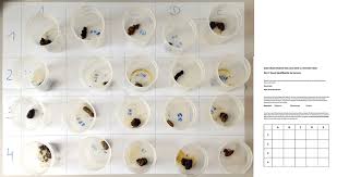 If you agree to our use of cookies, please continue to use our site. Performance Of Detection Dogs And Visual Searches For Scat Detection And Discrimination Amongst Related Species With Identical Diets
