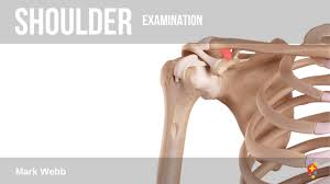 Image result for Shoulder Exam