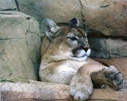 Irvine Park Zoo Chippewa Falls Wi Chippewa Falls Irvine Park Zoo