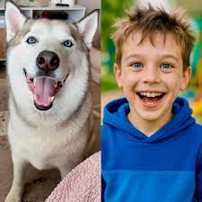 What do humans have in common with sloths and monkeys?