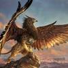 Assalamualaikum teman teman semua ini adalah burung elang vs macan !!! Https Encrypted Tbn0 Gstatic Com Images Q Tbn And9gcswwtstqqir5a114slxhhadmwblvsq6vg3d4au9maycdvdmeoxk Usqp Cau