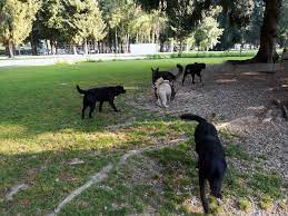 Check spelling or type a new query. Strandcamping Waging Am See Camping Mit Hund In Bayern Jack Auf Reisen