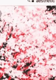 Pink cherry blossom wallpaper, hd png download. Anime Cherry Blossom Tree Gifs Tenor
